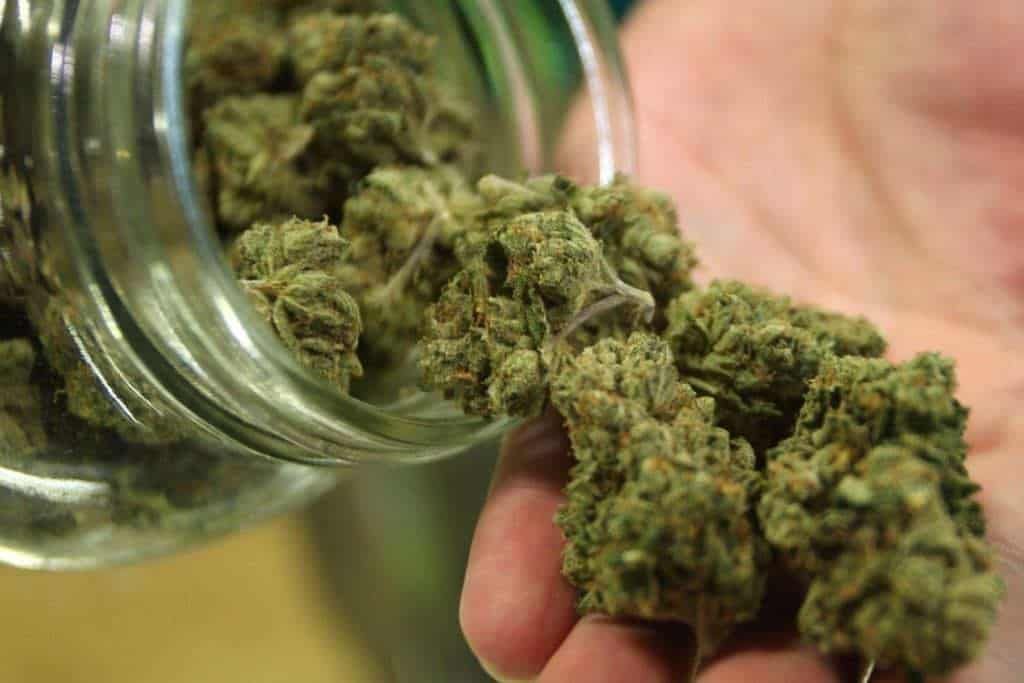 Aprueba Senado despenalización de la marihuana