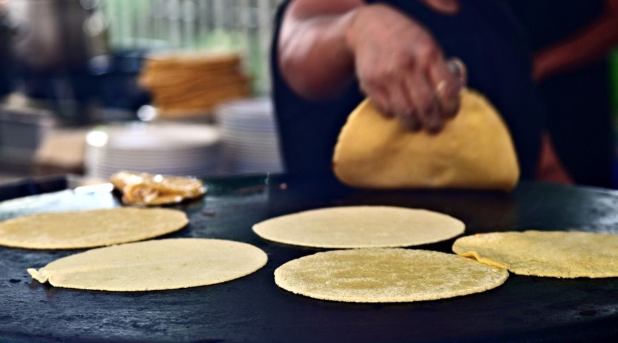 Incremento de la tortilla debido al precio internacional del Maíz
