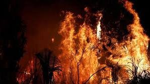 Hay 73 incendios forestales activos en México