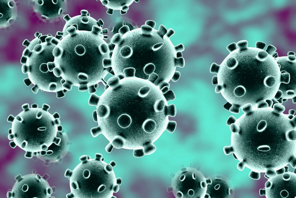 Solo la viruela ha logrado la "inmunidad de rebaño"