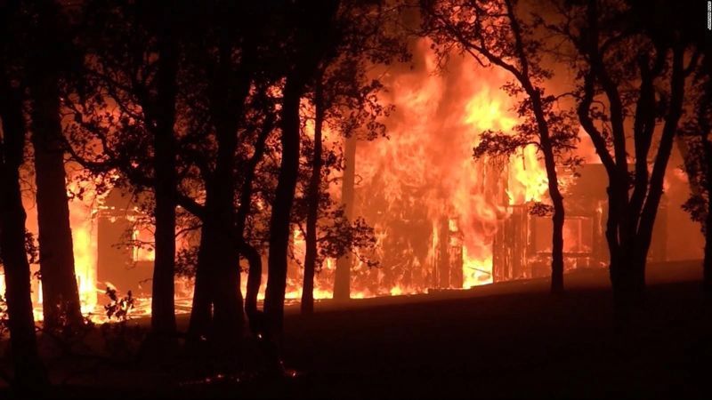 Hay 96 incendios forestales activos en 19 estados