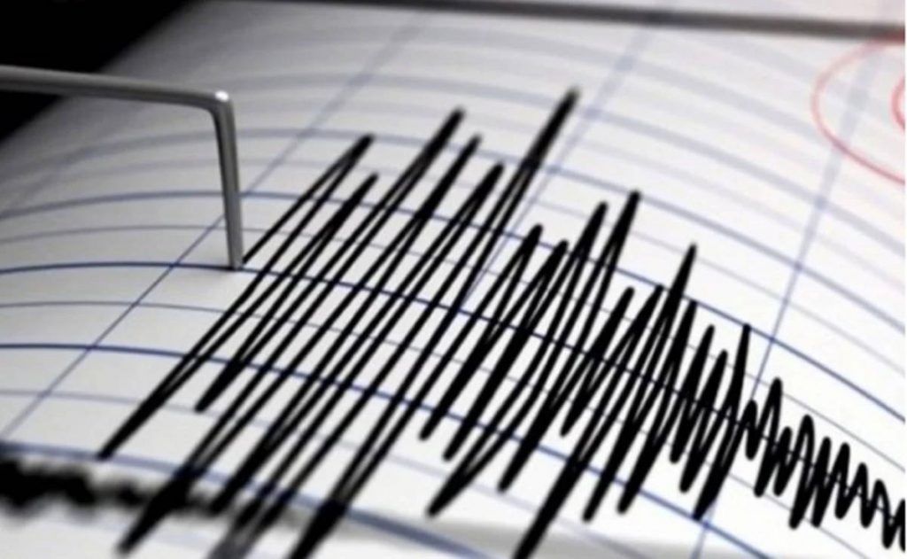 Terremotos en Nueva Zelanda activan alerta de Tsunami