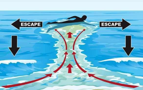 Qué hacer en caso de sentirse en riesgo al nadar en el mar