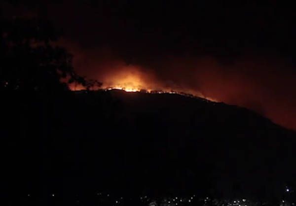 Incendio devasta bosque de La Primavera en Jalisco