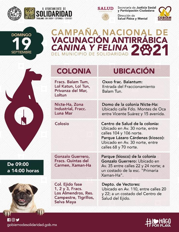 19 de septiembre inicia la campaña de vacunación para perros y gatos
