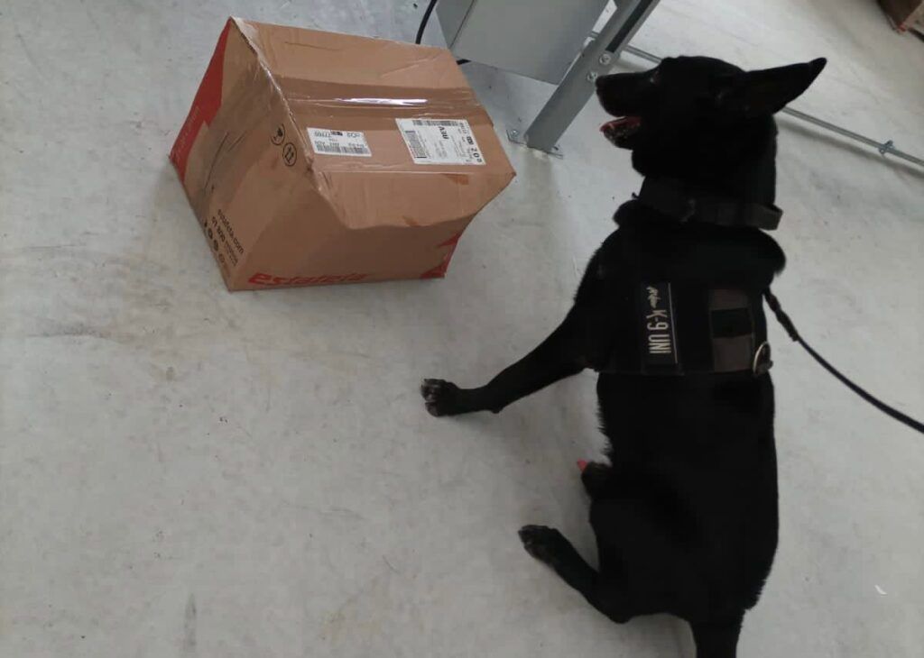 Nuevamente binomio canino asegura droga en empresa de paquetería.

