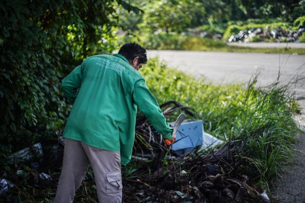 Comienza gobierno de Cozumel  limpieza de basurero clandestino