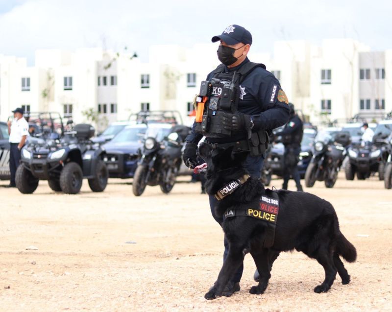 Gobierno municipal fortalece Unidad Canina en pro de mejores operativos de seguridad