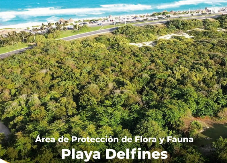 Tiene Quintana Roo cuatro nuevas áreas naturales protegidas
