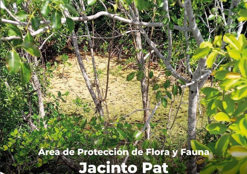 Tiene Quintana Roo cuatro nuevas áreas naturales protegidas