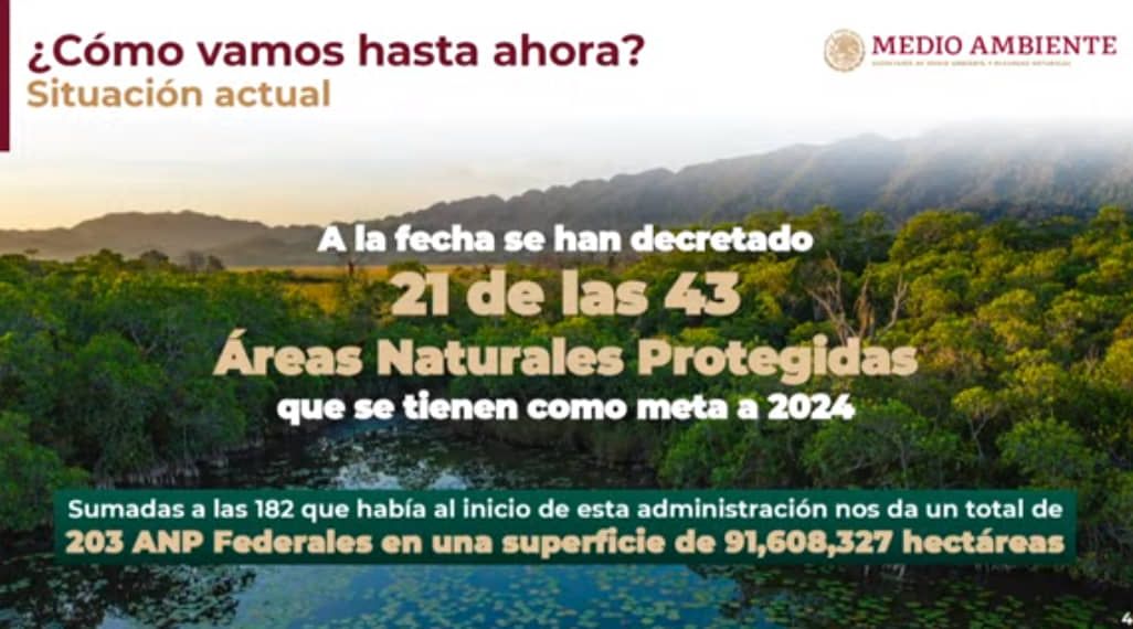 López Obrador busca aumentar la protección de la biodiversidad mexicana
