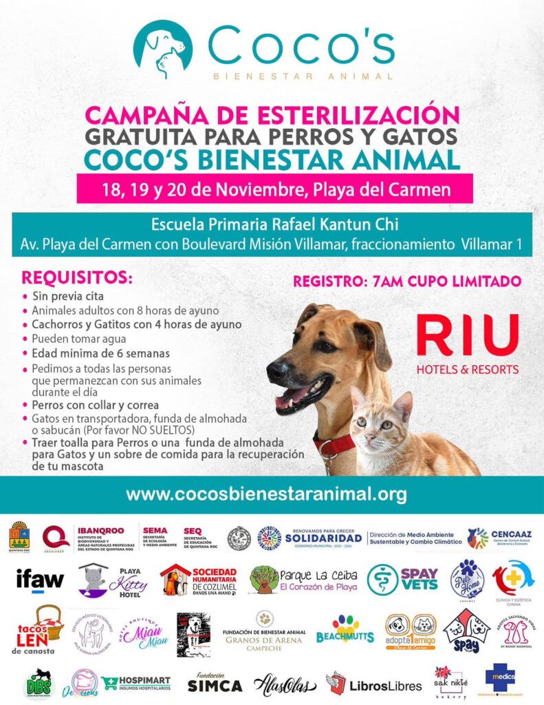 Habrá campaña de esterilización gratuita para mascotas
