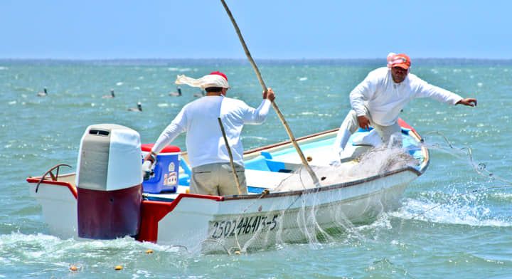 Pesca Mexicana en Riesgo por Pérdida de Especies