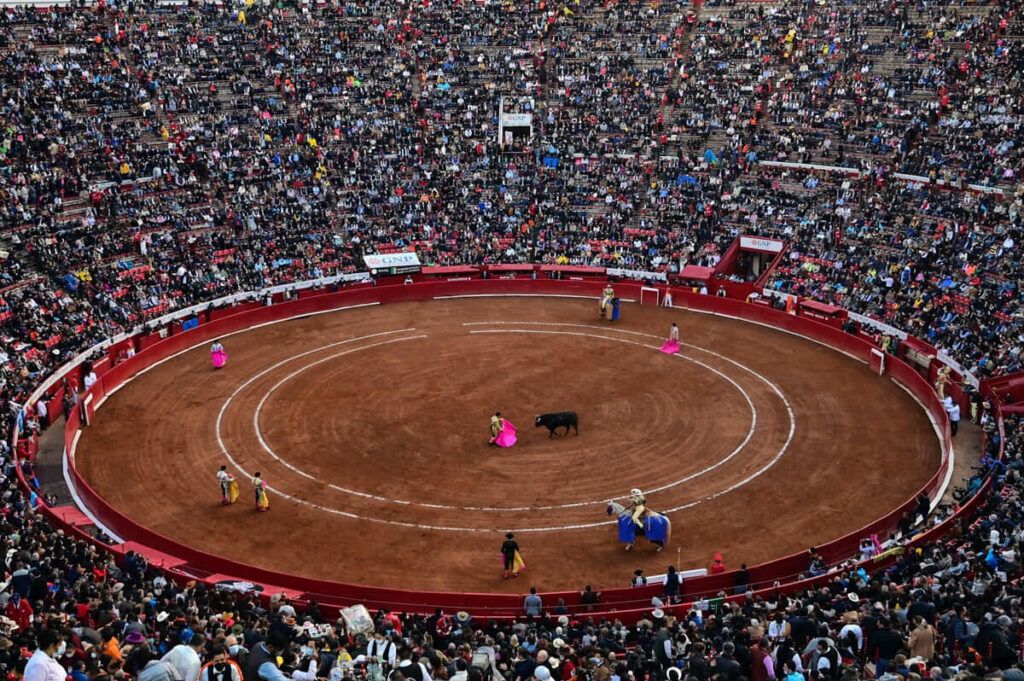 Jueza otorgó suspensión a corridas de toros en la Plaza México