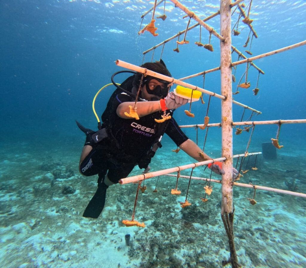 Realizan monitoreo, mantenimiento y limpieza en arrecifes