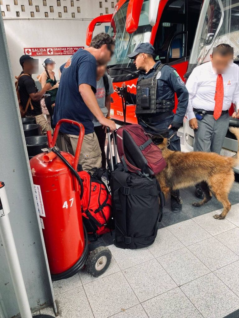 Integrantes de la Unidad Canina realizan inspecciones en busca de narcóticos