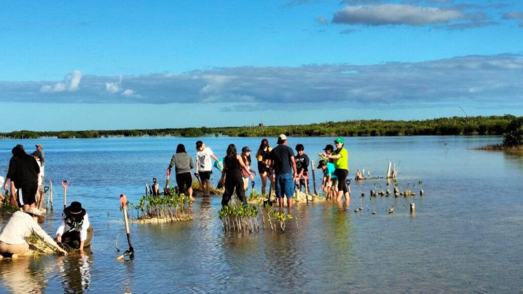 Abren a la comunidad el Parque Ecoturístico Punta Sur